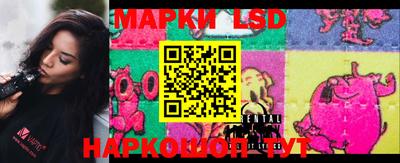 шишки Коммунар